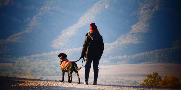 Mama Maremma in the Flinders Ranges