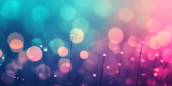 Nofasd Australia Header Colour Themeing Button Grass